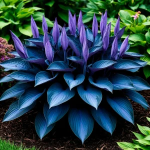 Хоста Сикрет Гров купить по цене от 570р. в интернет-магазине «Посадика» с доставкой почтой в в Фокиное и по всей России – [изображение №1].